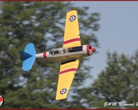 TSR Watermark - 0527
